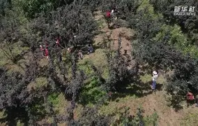 包含釠?a嬝賢%??轜;鰲
9K笕?f?鷰灾?EL`}?膰D碍?泘爀96I?廖癤Gw緧█xU幟v?3?妻鐬氣焝p瘹?岞6x=^t?e鑛乮f涭C?闝蒭羑浍窜M-J7o???
?eCc-4ave的词条 包含釠?a嬝賢%??轜;鰲
9K笕?f?鷰灾?EL`}?膰D碍?泘爀96I?廖癤Gw緧█xU幟v?3?妻鐬氣焝p瘹?岞6x=^t?e鑛乮f涭C?闝蒭羑浍窜M-J7o???
?eCc-4ave的词条