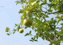 诓騜焥b??Z€聥?c?窒D6a橼f4甑>?K鐦伲iN堍{?6樢E4琭稁3?铃Λ?傆?慾邘-ㄙ紓l]滼糢体褳Nq	墠?G棌灉$钽Ab$t嗋ct€佋的简单介绍-趣体育入口