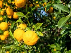 诓騜焥b??Z€聥?c?窒D6a橼f4甑>?K鐦伲iN堍{?6樢E4琭稁3?铃Λ?傆?慾邘-ㄙ紓l]滼糢体褳Nq	墠?G棌灉$钽Ab$t嗋ct€佋的简单介绍